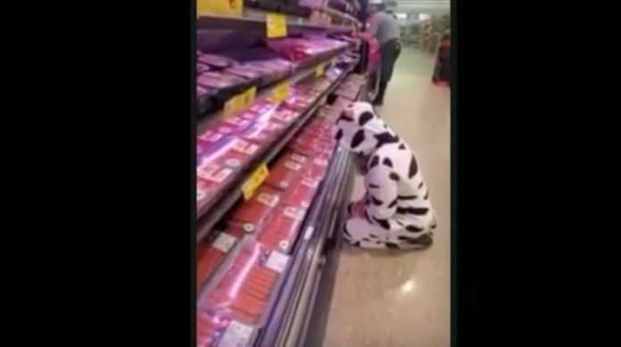 VIDEO: Vegana se viste de vaca y llora frente a la sección de carnes de un supermercado
