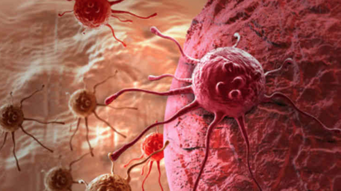 Desarrollan fármaco que paraliza el cáncer permanentemente