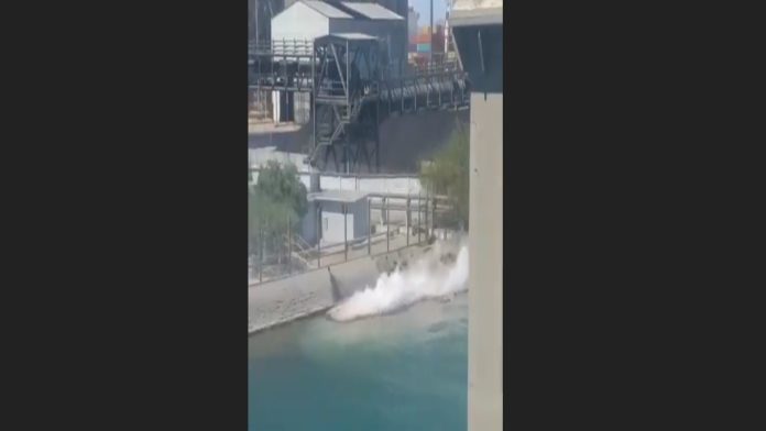 Video: Grupo México derrama 3 mil litros de ácido sulfúrico en el Mar