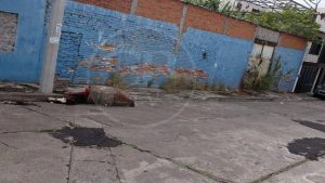 La “Calceta” no estaba muerta, solo dormía