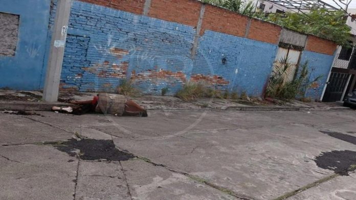 La “Calceta” no estaba muerta, solo dormía