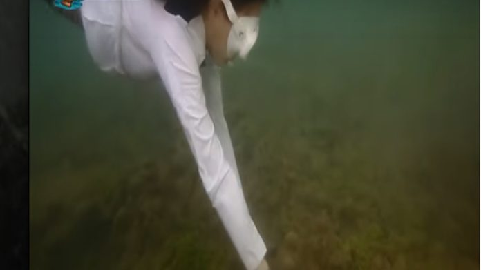 Video: Actriz de rality show come almeja en peligro de extinción; podría pasar 4 años en prisión