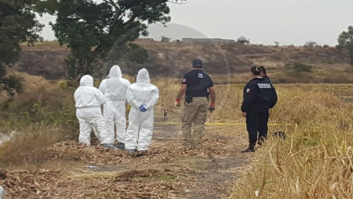 Michoacán: Hallan tres cadáveres encajuelados en un auto