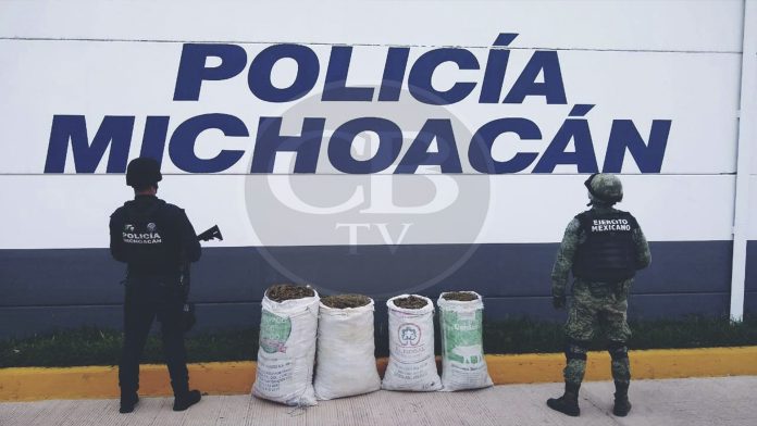 Aseguran 70 kilos de marihuana en Michoacán
