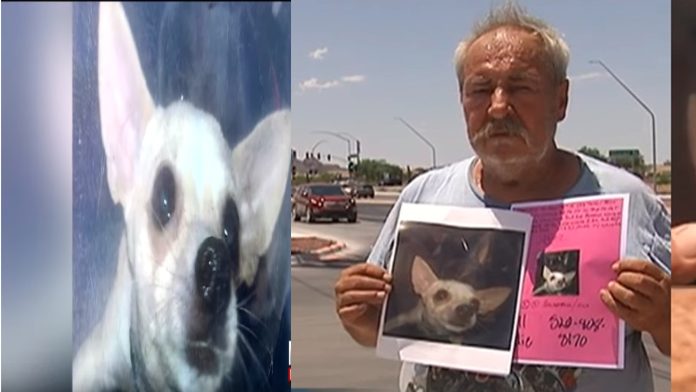Hombre ofrece una casa y un tráiler como recompensa a quien le devuelva a su perrita
