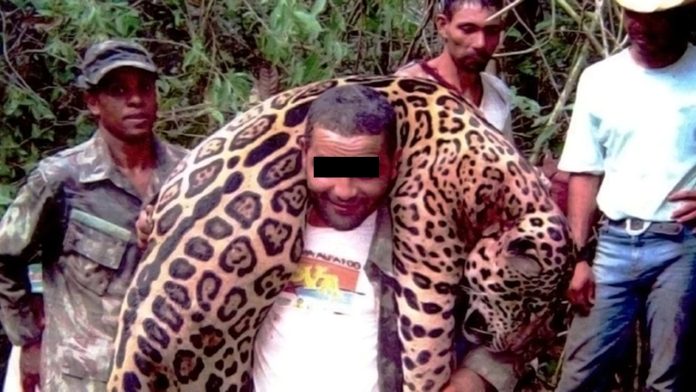 Detienen a cazador que mató mil jaguares