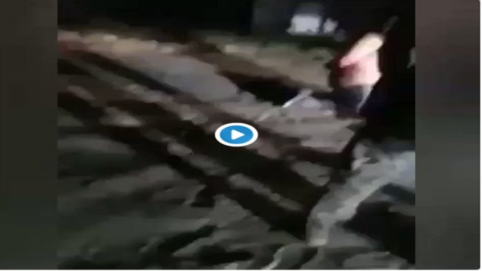 VIDEO (+18): Sicarios del Cártel del Golfo ejecutan al “Gordo Sexy”