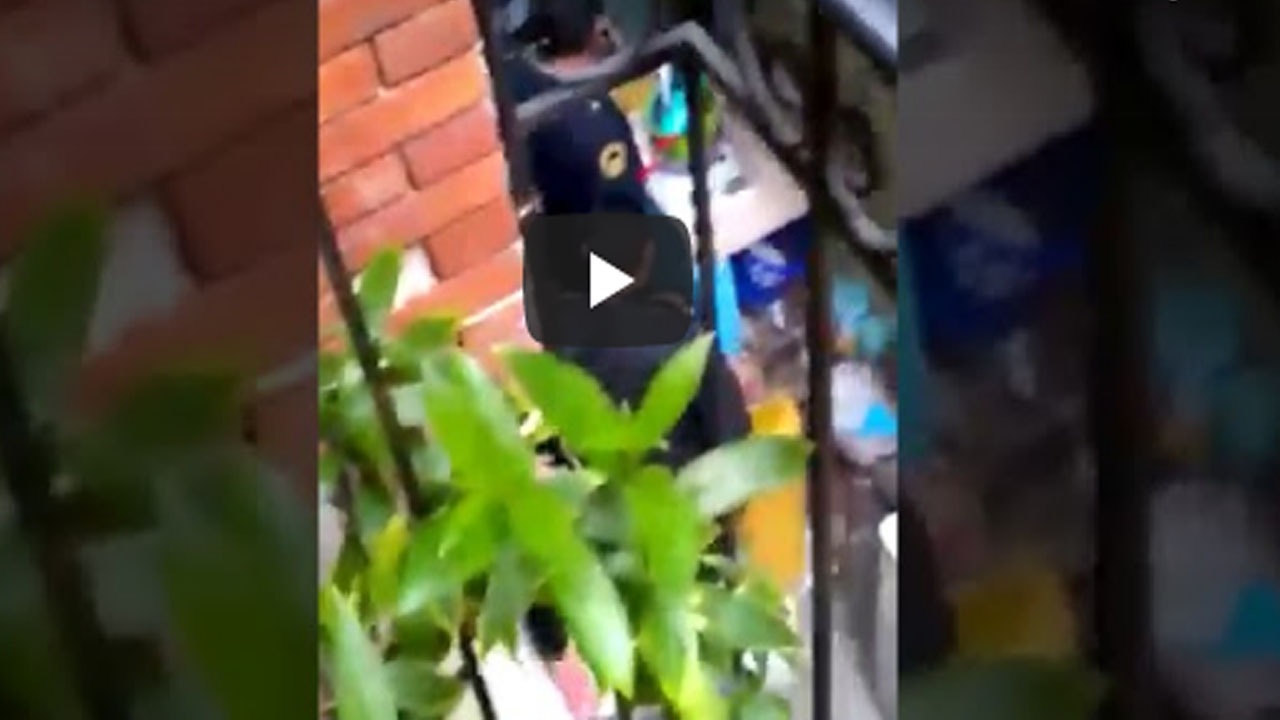 Video: Policías irrumpen en una vecindad; hay tres heridos y un perrito muerto Video: Policías irrumpen en una vecindad; hay tres heridos y un perrito muerto