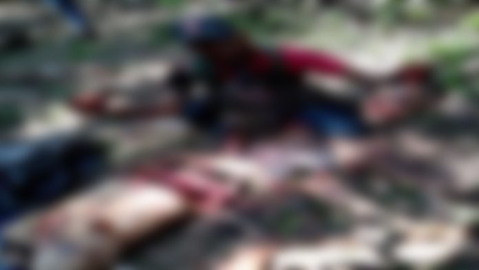 Sicario de la Familia Michoacana se toma foto con la cabeza y corazón de una  víctima
