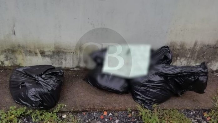 Descuartizados son causa de la disputa entre bandas delictivas; FGE