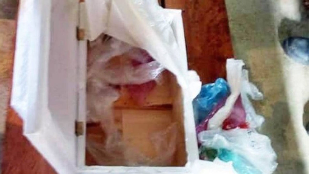 Bebé muere en hospital de Chiapas, y entregan a familiares ataúd con basura; destituyen a trabajadores Bebé muere en hospital de Chiapas, y entregan a familiares ataúd con basura; destituyen a trabajadores