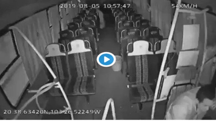 Video: Conductor se lleva un susto al llegar al final de su ruta