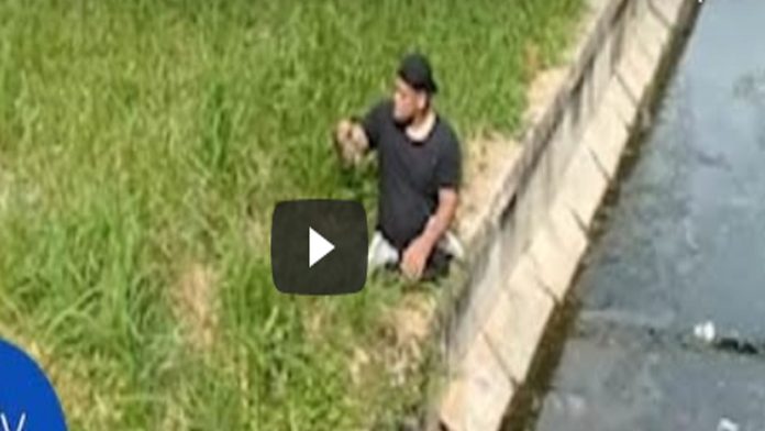 Video: Atleta paralímpico deja su silla de ruedas para salvar gatito