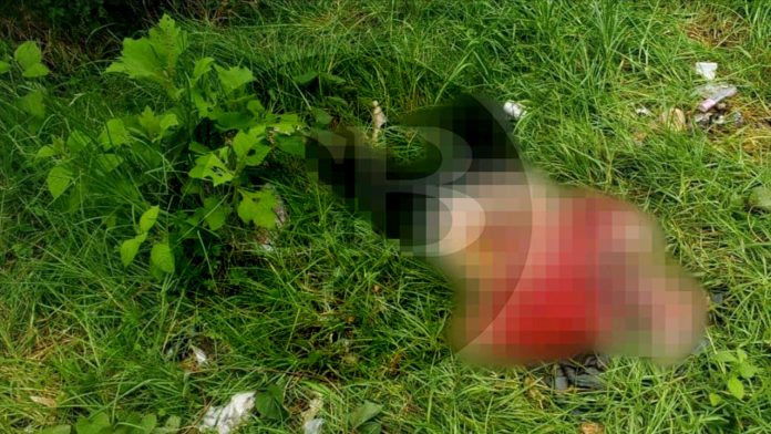 Hallan cadáver maniatado parcialmente devorado por animales
