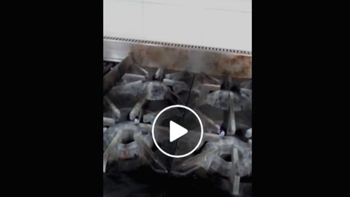 Video: Captan cucarachas en la cocina del IMSS de especialidades en Charo