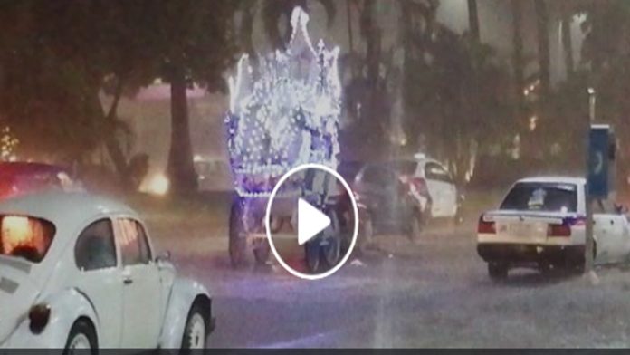 Video: Caballo que jalaba calandria se desploma del cansancio