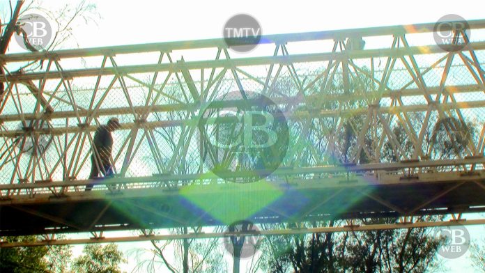 Falta de alumbrado sobre el puente frente al zoológico