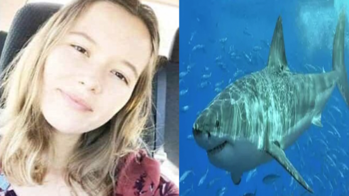 Padres ven morir a su hija; fue devorada por tiburones