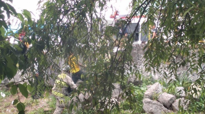 Auxilian a persona con alucinaciones en el Río Grande; peleaba con los árboles