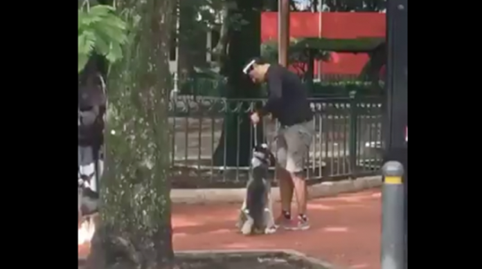 VIDEO: Entrenador ahorca a perro hasta dejarlo inconsciente en un parque de la CDMX