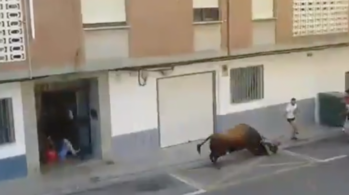 VIDEO (+18): Toro mata a hombre durante corrida en España