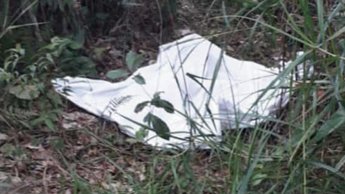 México: Violan y asesinan a niña de 12 años