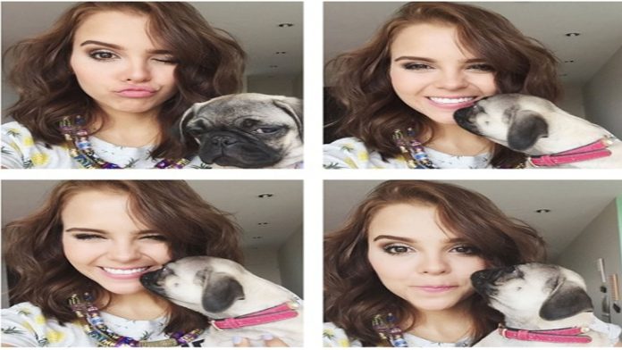 Yuya pierde la custodia de sus perros tras ruptura con su novio