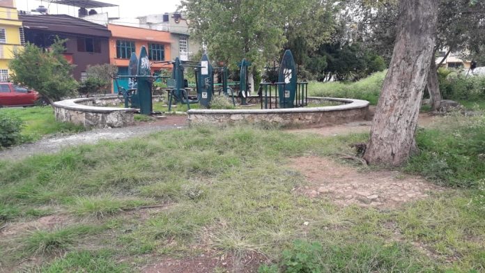 Jardines de la colonia “El Realito” se encuentran olvidados, mismos vecinos toman acciones