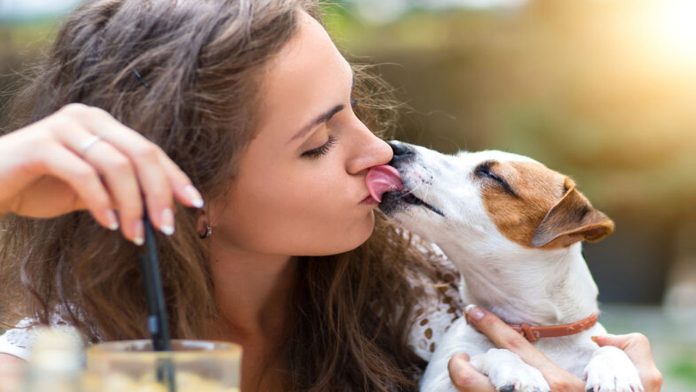 Le amputan las piernas y manos por una bacteria trasmitida por su perro