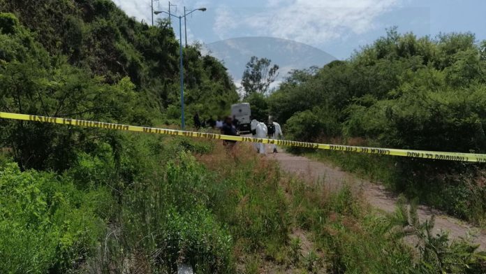 Hallazgo de osamenta canina genera movilización policial en Morelia