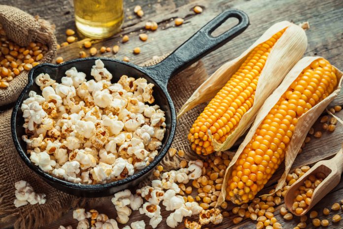 Palomitas de maíz mexicanas en peligro de extinción