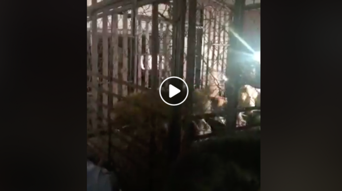 VIDEO: 