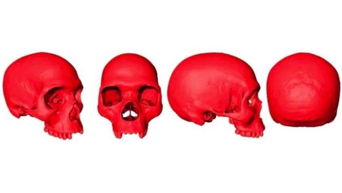 Reconstruyen virtualmente cráneo del ancestro del Homo Sapiens