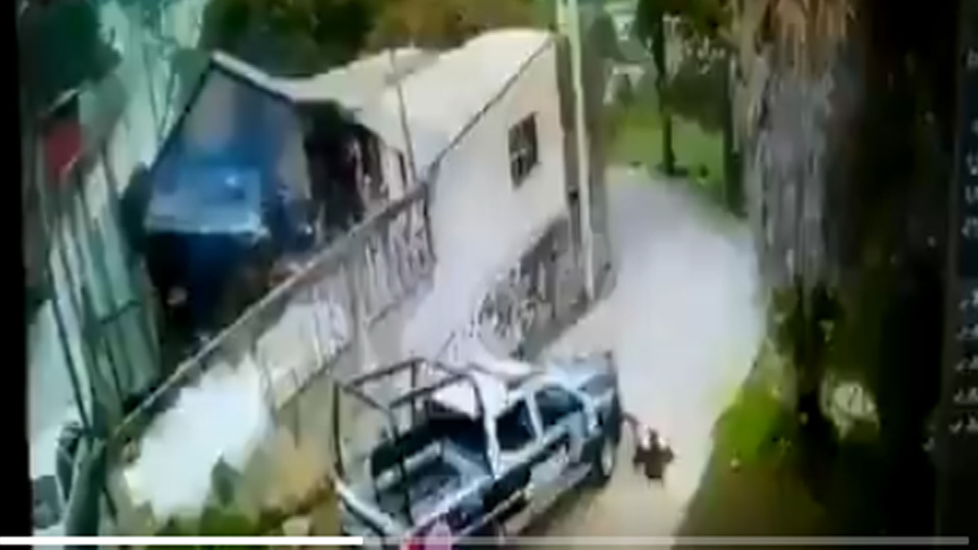 Video: Denuncian a policías que atropellaron y mataron a un perrito Video: Denuncian a policías que atropellaron y mataron a un perrito
