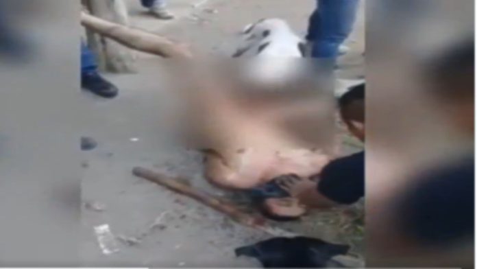 VIDEO (+18): Perros devoran partes íntimas de presunto violador como forma de tortura