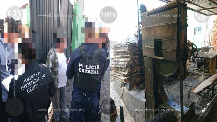 Más de 550 toneladas de madera son incautadas por la FGR