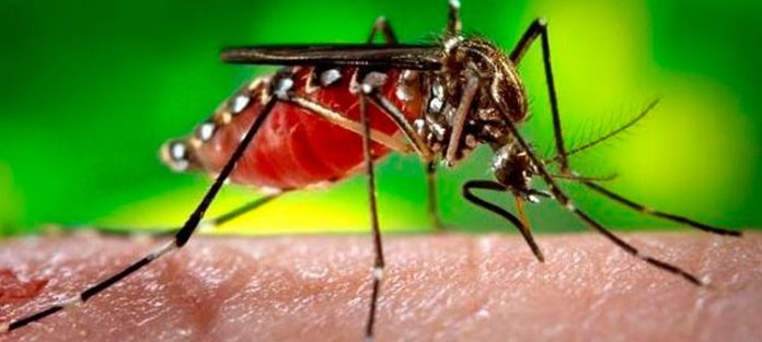 Se incrementa en 200 por ciento los casos de dengue en la entidad