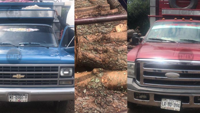 Decomisan camiones con madera ilegal; hay tres detenidos