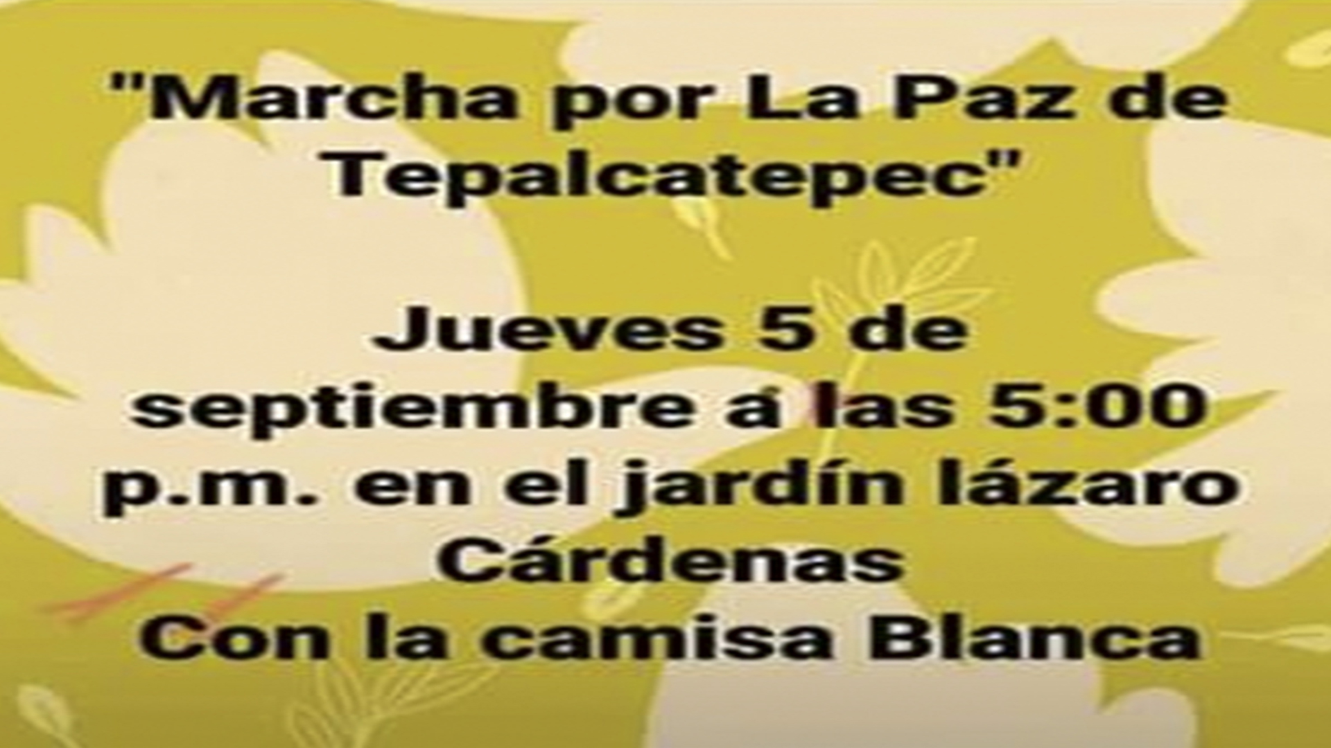 Habitantes de Tepalcatepec convocan a marcha por la paz Habitantes de Tepalcatepec convocan a marcha por la paz