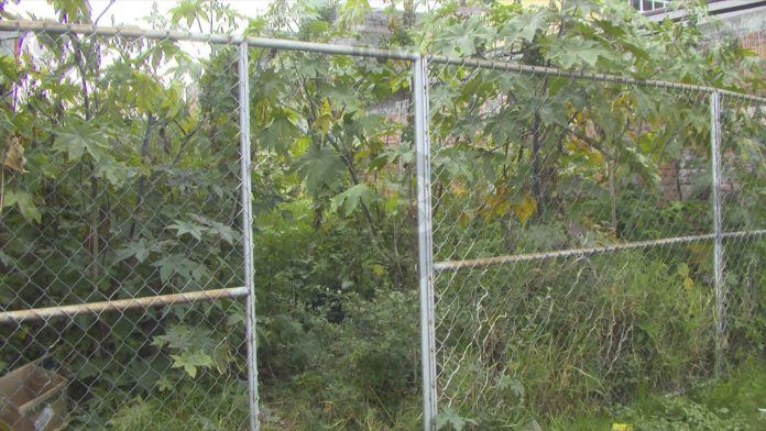 Inseguridad en la colonia Lago II