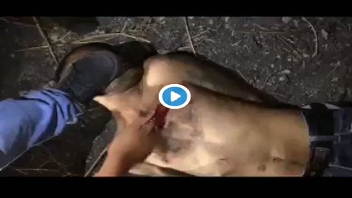 VIDEO (+18): Supuestos sicarios de La Familia Michoacana degüellan vivo a presunto sicario del CJNG