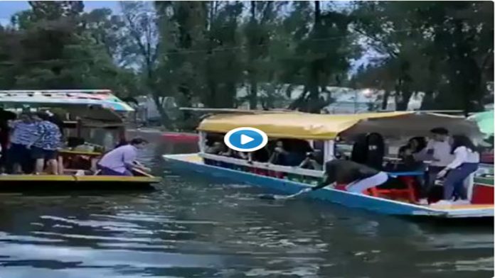 Video: Captan el momento en que una joven cae de trajinera en Xochimilco