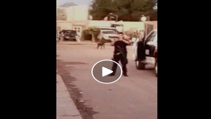 Video: Policía le dispara a un perro pitbull porque lo mordió
