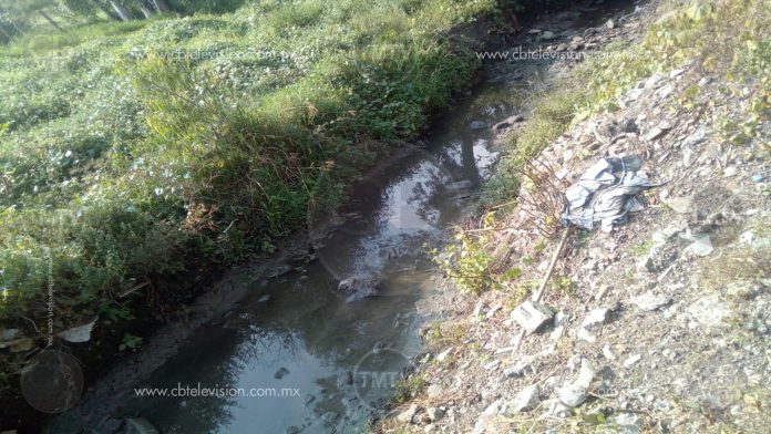Predio abandonado causa estragos a vecinos de la col. Adolfo López Mateos