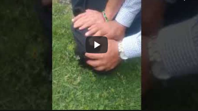 Video: Presunto ladrón pide clemencia tras ser detenido por vecinos