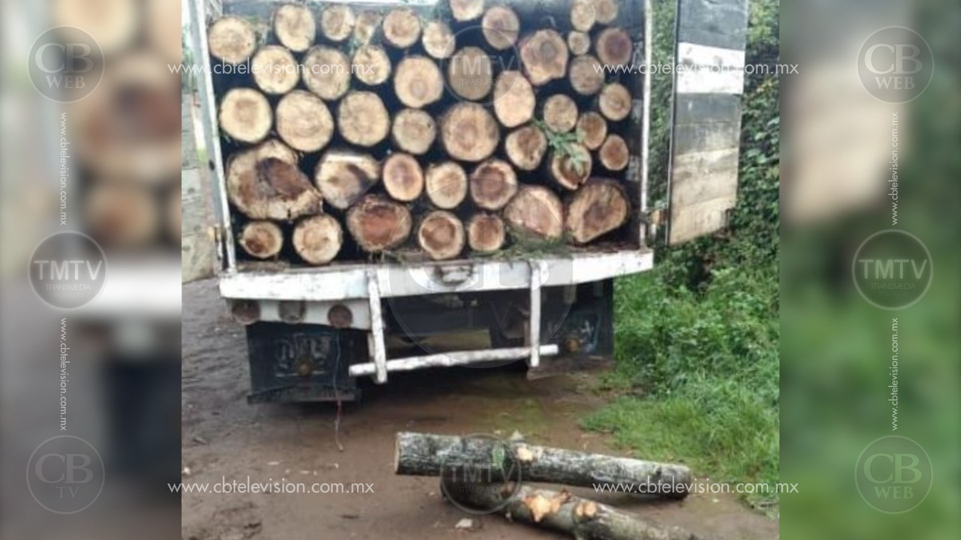Decomisan camión con 80 rollos de madera ilegal Decomisan camión con 80 rollos de madera ilegal