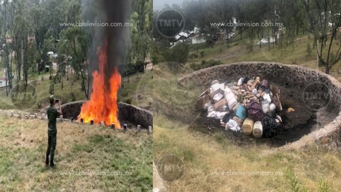 Sedena destruye drogas decomisadas en Michoacán