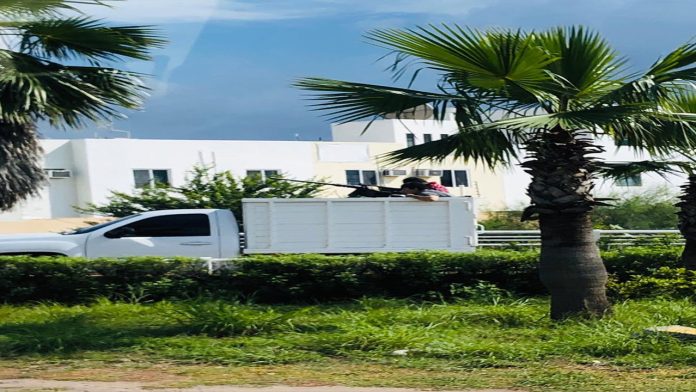 Enfrentamiento en Sinaloa