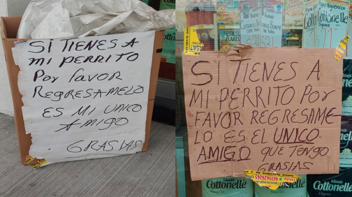 En Morelia: Hombre que cuida coches pide que le regresen a su perro, su 