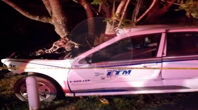 Muere taxista al chocar su unidad contra un árbol